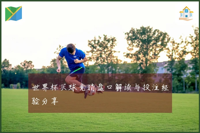 世界杯买球竞猜盘口解读与投注经验分享
