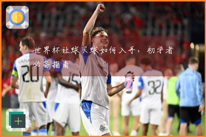 世界杯让球买球如何入手,初学者必备指南