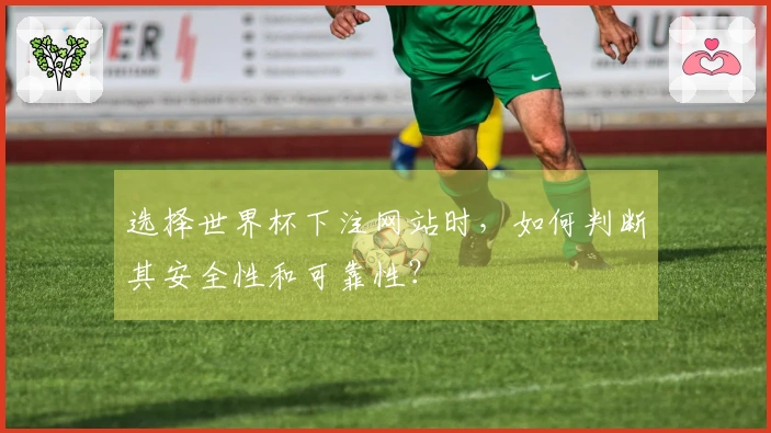 选择世界杯下注网站时，如何判断其安全性和可靠性？