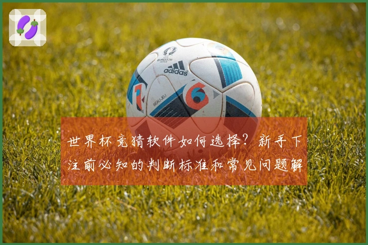 世界杯竞猜软件如何选择？新手下注前必知的判断标准和常见问题解答